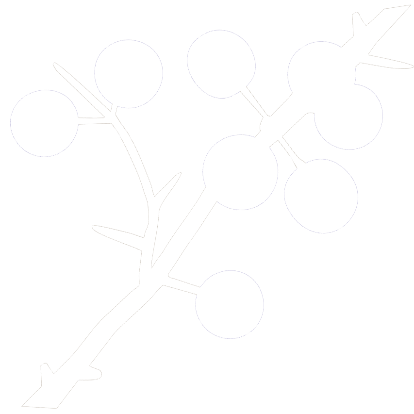 Grundschule Frauenaurach